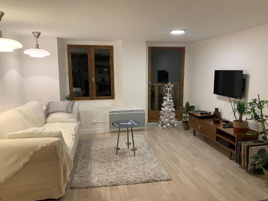 Au Coeur De La Veille Ville D'Annecy Bagian luar foto